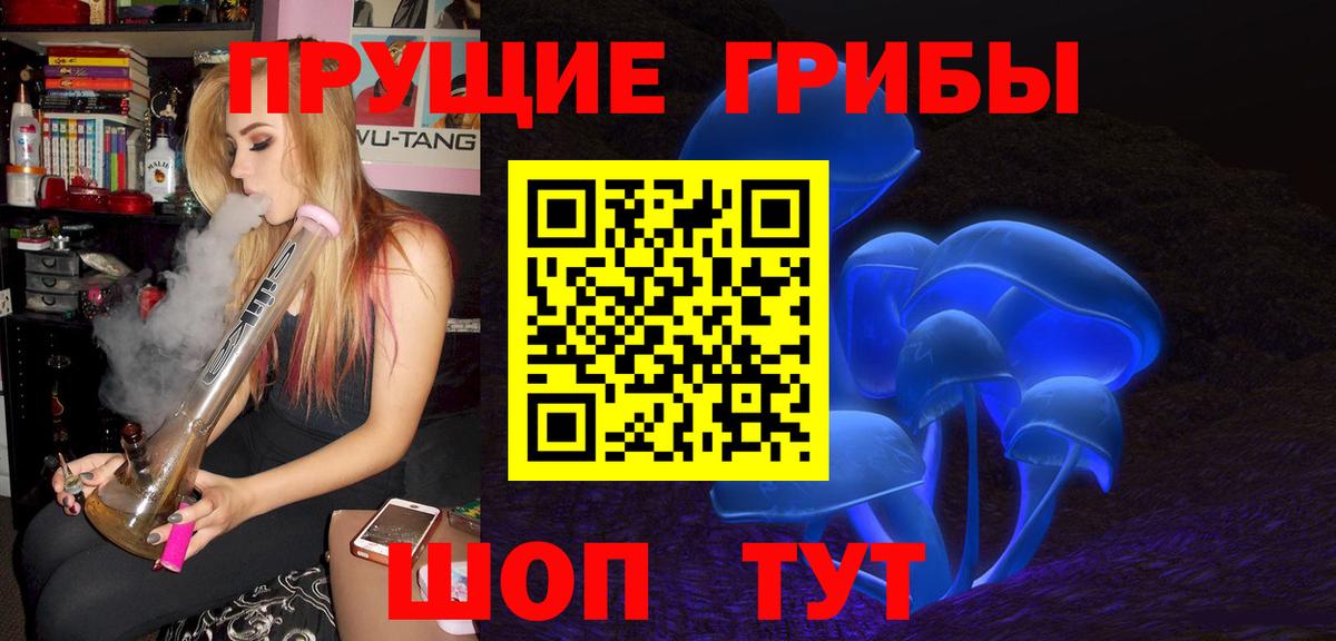 наркошоп  Псилоцибиновые грибы прущие грибы  Кстово  Вход с VPN  Псилоцибиновые грибы мицелий 